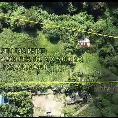 Zone values per sqm lot in ALFONSO, Cavite .